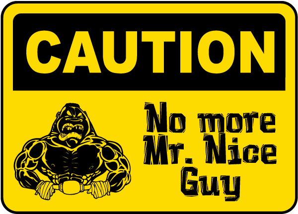 No More Mr. Nice Guy [1995]