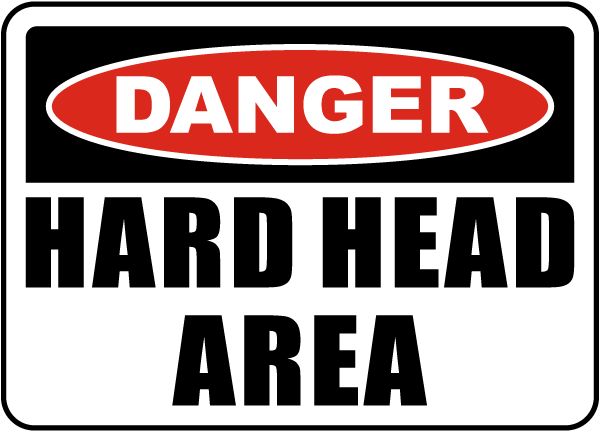 Image result for hardhead