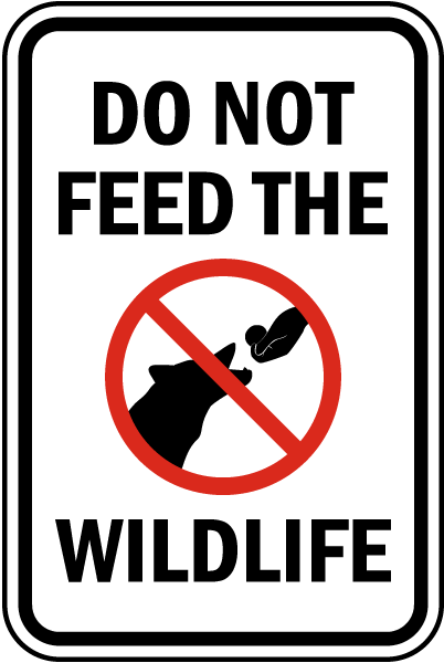 Do Not Feed The Wildlife sign