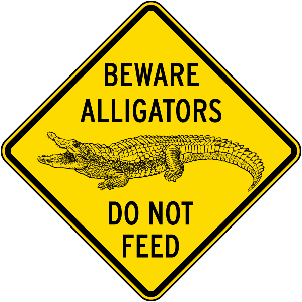 Top 90+ Images do not feed alligators photos Full HD, 2k, 4k