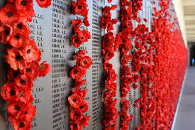 Veteran's Day Poppies