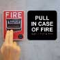 Pull In Case Of Fire of F with Braille