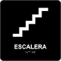 Spanish Stairs Sign with Braille
