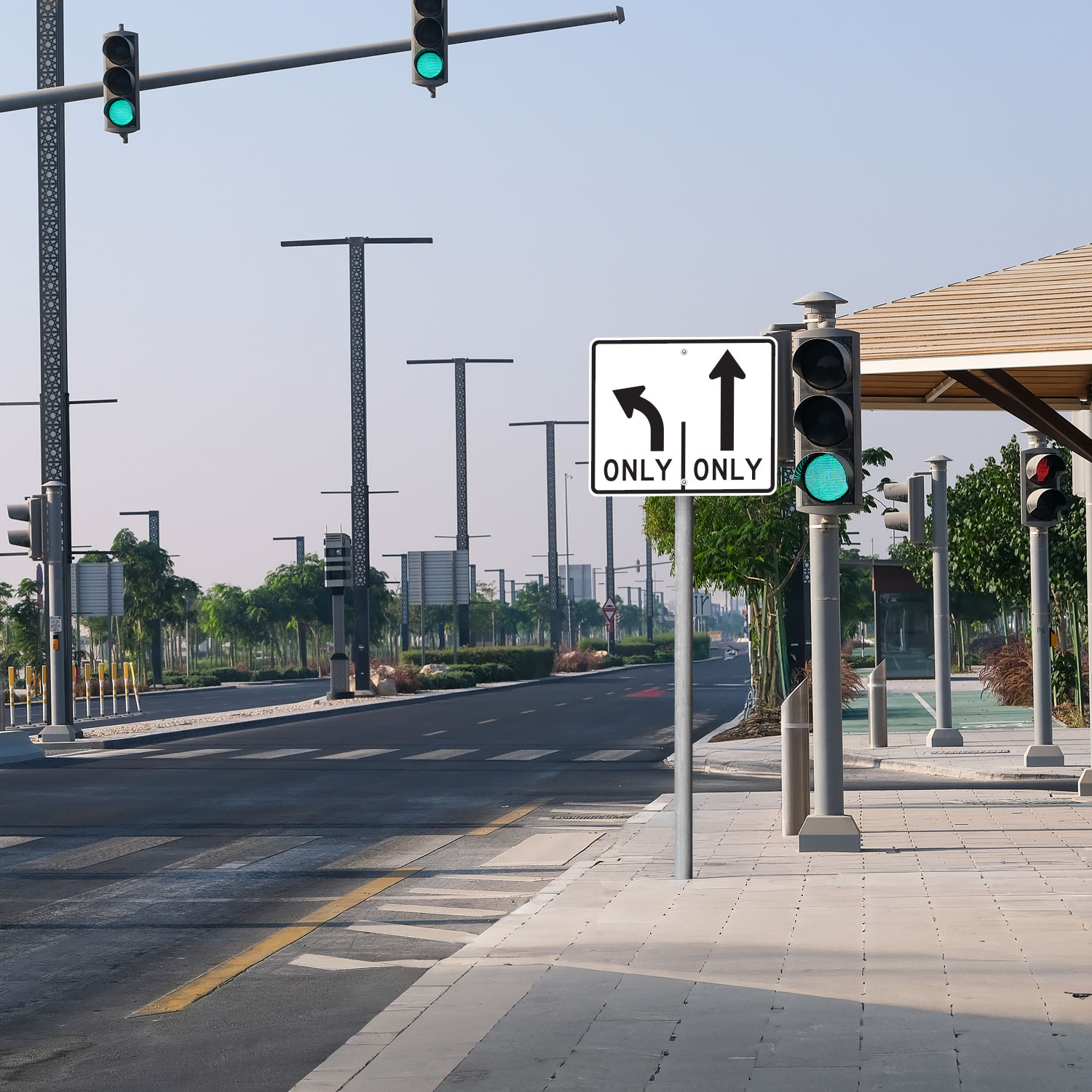 Texas 2 Lane Only Left and Forward Sign