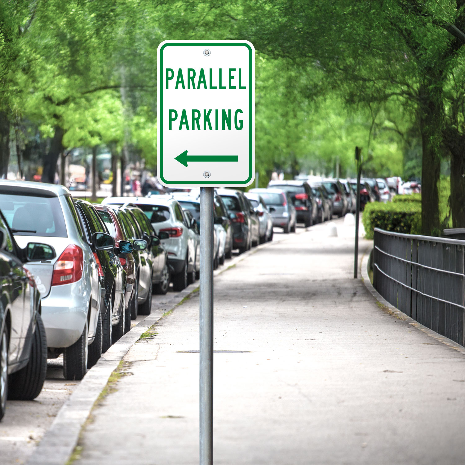 Texas Parallel Parking to the Left Sign
