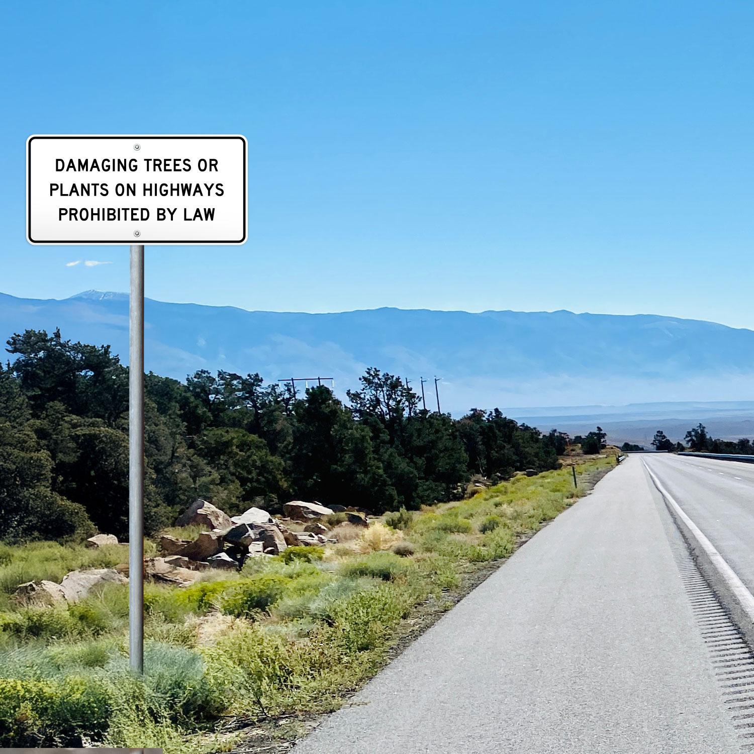 Texas Damaging Trees or Plants On Highways Prohibited By Law Sign