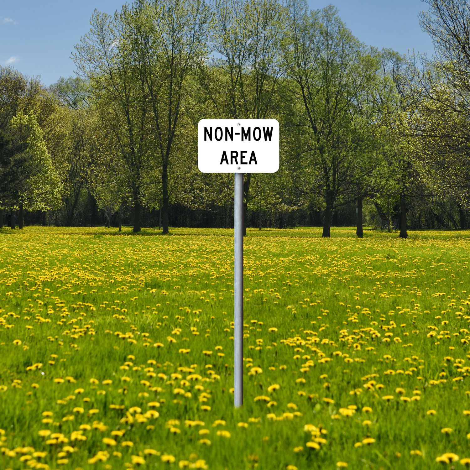 Texas Non-Mow Area Sign