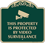 Green Background – Protected By Video Surveillance Sign