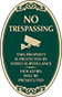 Green Background – Protected By Video Surveillance Oval Sign