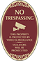 Burgundy Background – Protected By Video Surveillance Oval Sign