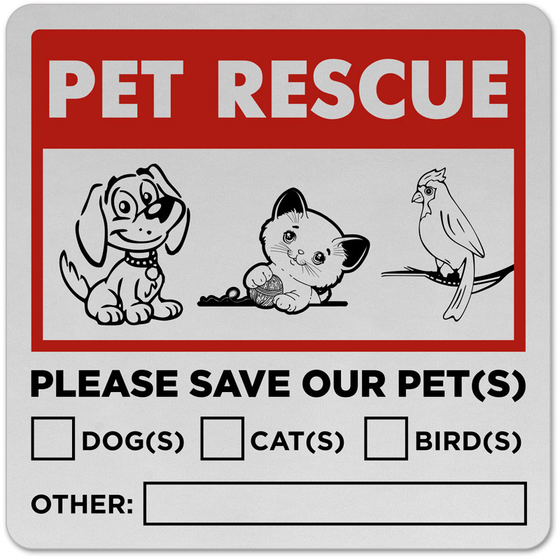 Pet please. Стикер my Pet. Our Pets. Cat Dog Bird Mouse Lion прописи.