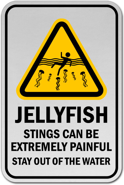 Jellyfish Sting Can Be Painful Sign