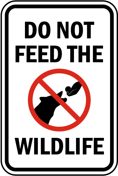 Do Not Feed The Wildlife Sign