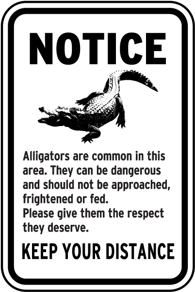 Alligators Are Common In This Area Sign