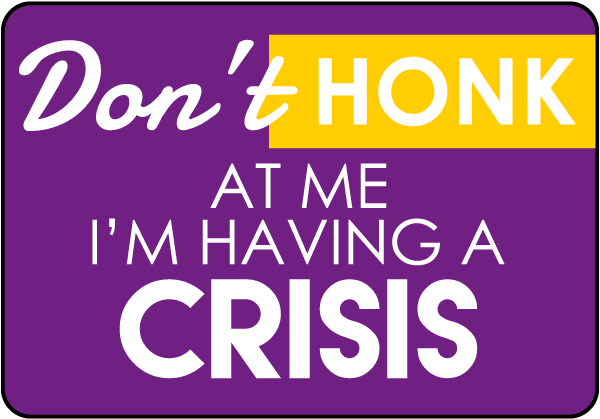 Don’t Honk At Me I'm Having A Crisis Sign