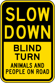 Slow Down Blind Turn Sign