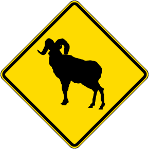 Big Horn Sheep Symbol Sign