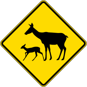 Deer Symbol Sign