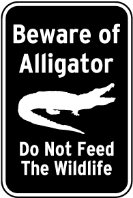 Beware of Alligator Sign