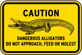 Dangerous Alligators Sign