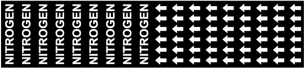 Nitrogen   Pipe Label on a Card