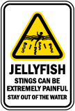 Jellyfish Sting Can Be Painful Sign