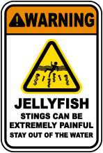 Jellyfish Sting Can Be Painful Sign